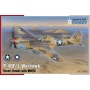 SPECIAL HOBBY 72493 [1:72]  P-40F/L Warhawk "Desert Hawks with Merlin"